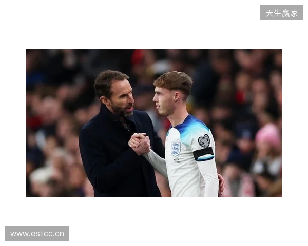 图赫尔谈10号位:一阶段考察帕尔默&福登;二阶段贝林&罗杰斯 图赫尔谈10号位:一阶段考察帕尔默&福登;二阶段贝林&罗杰斯